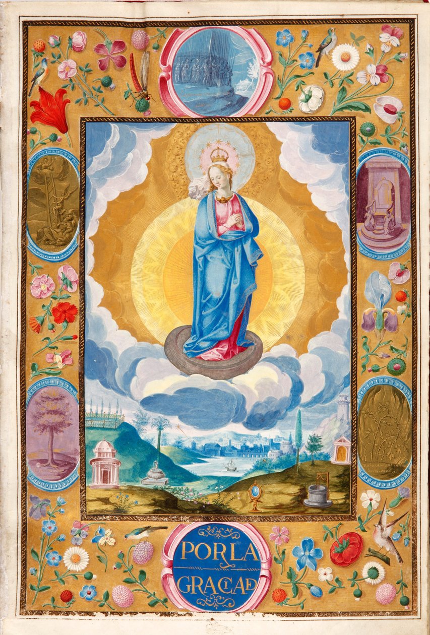 Inmaculada Concepción en la Carta Ejecutoria de Caballería de Arias Pardo de Cela de Diego Gómez