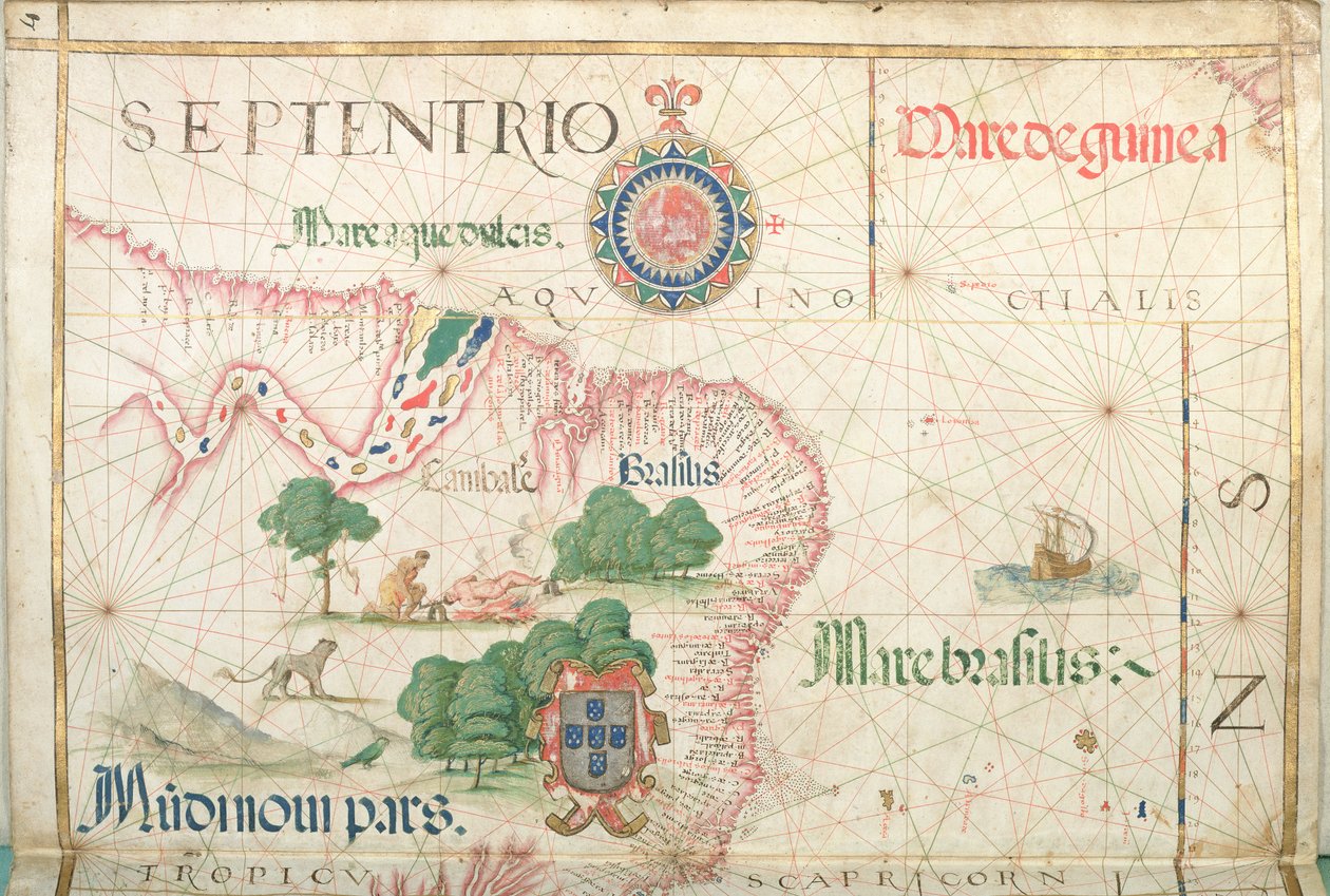 Desembocadura del Amazonas, Brasil (detalle) de Diego Homem