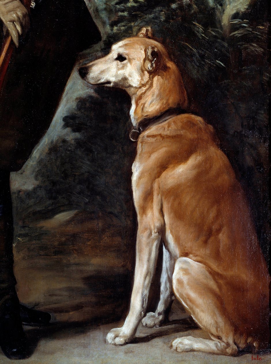 Retrato del Cardenal Infante Fernando de Austria en traje de caza (1609-1641): detalle del perro de Diego Velázquez