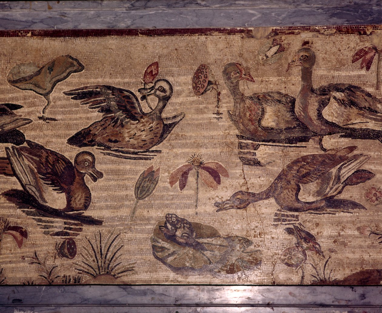 Mosaico romano de Pompeya de patos y ranas en un jardín acuático, siglo I de Dioscurides of Samos