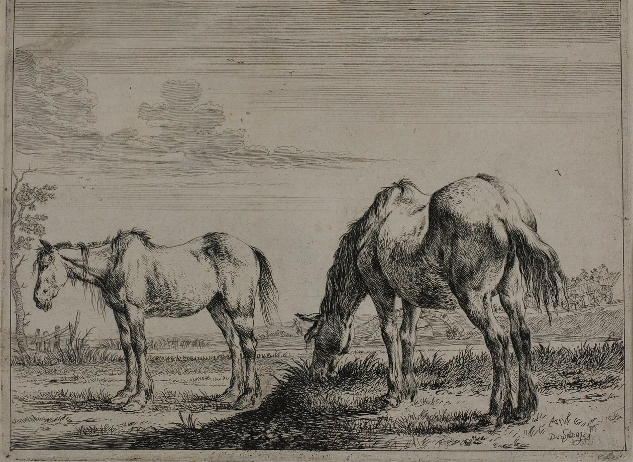 Caballo pastando, placa tres de la Serie de Caballos de Dirck Stoop