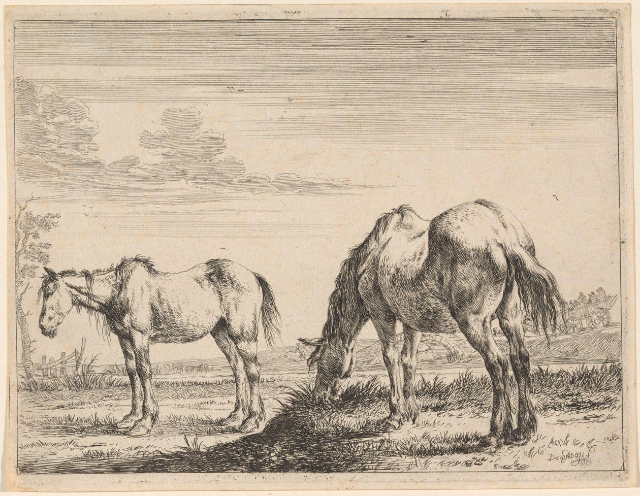 Dos Caballos Pastando de Dirck Stoop