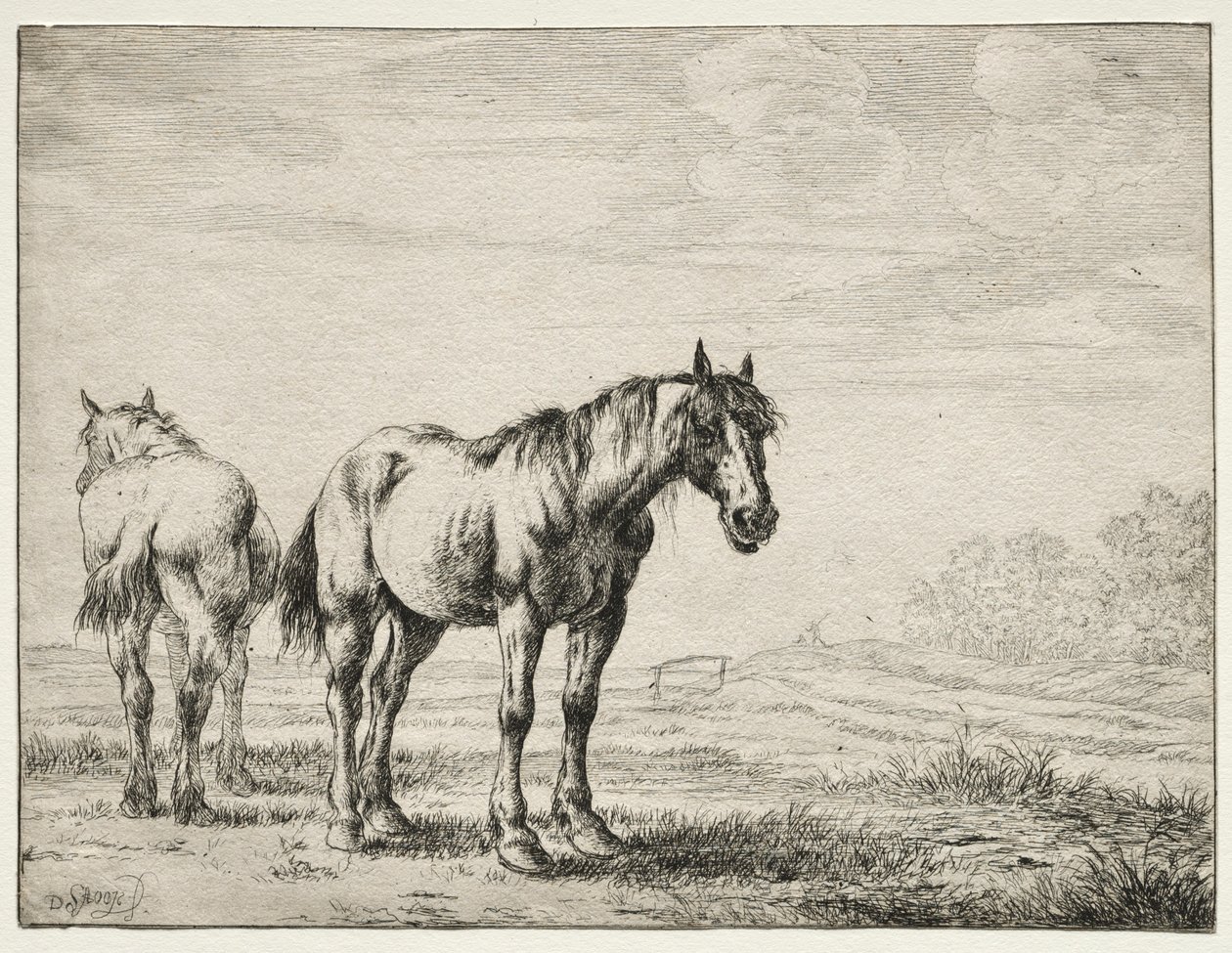 Dos Caballos de Arado de Dirck Stoop
