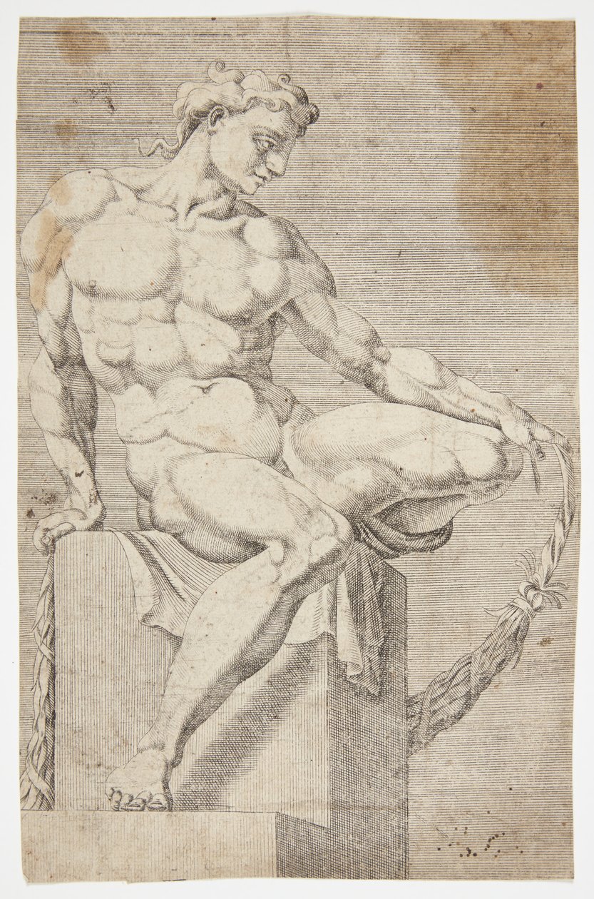 Desnudo de la Capilla Sixtina de Dirck Volckertsz. Coornhert