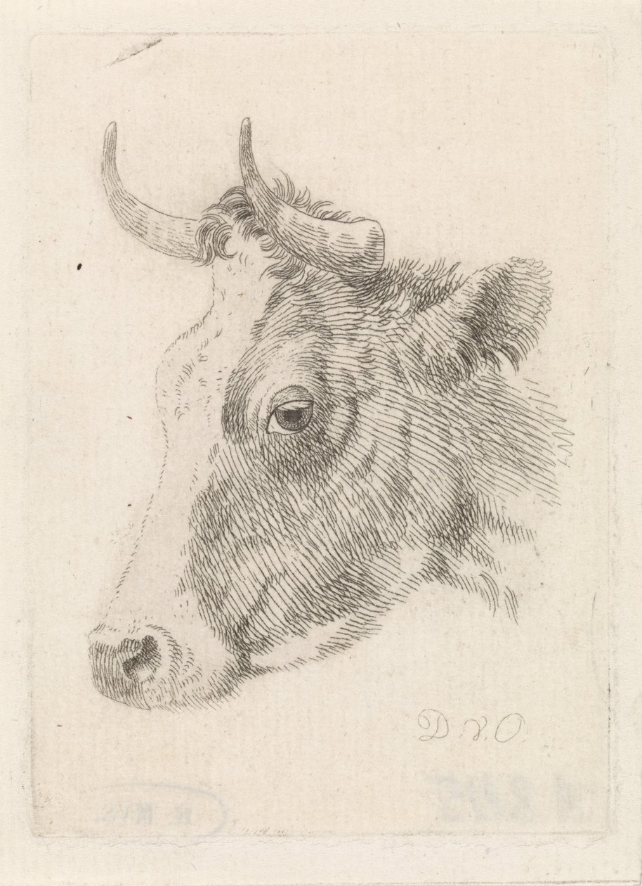 Cabeza de un toro, dibujo de Dirk van Oosterhoudt de Dirk van Oosterhoudt  