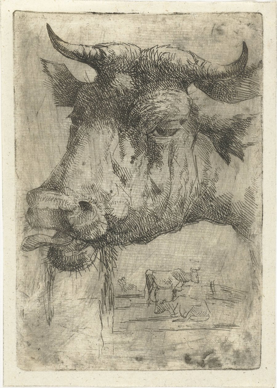 Cabeza de vaca con lengua afuera de Dirk Dirksen