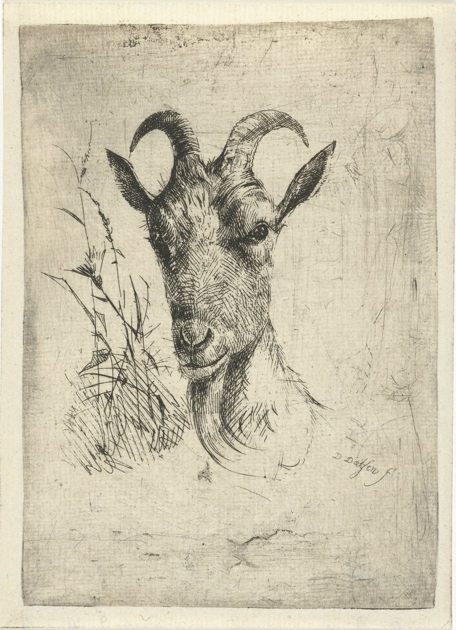 cabeza de cabra de Dirk Dirksen