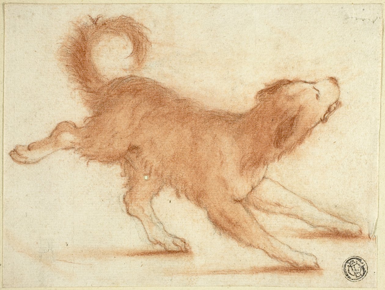 Perro gruñón listo para atacar de Dirk Valkenburg