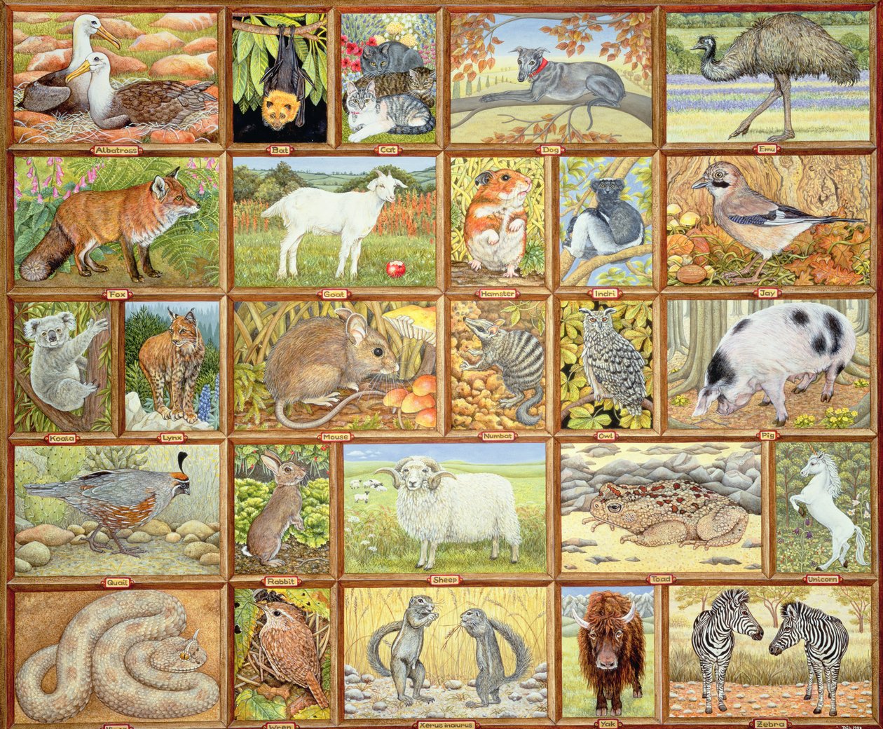 Animales alfabéticos de Ditz