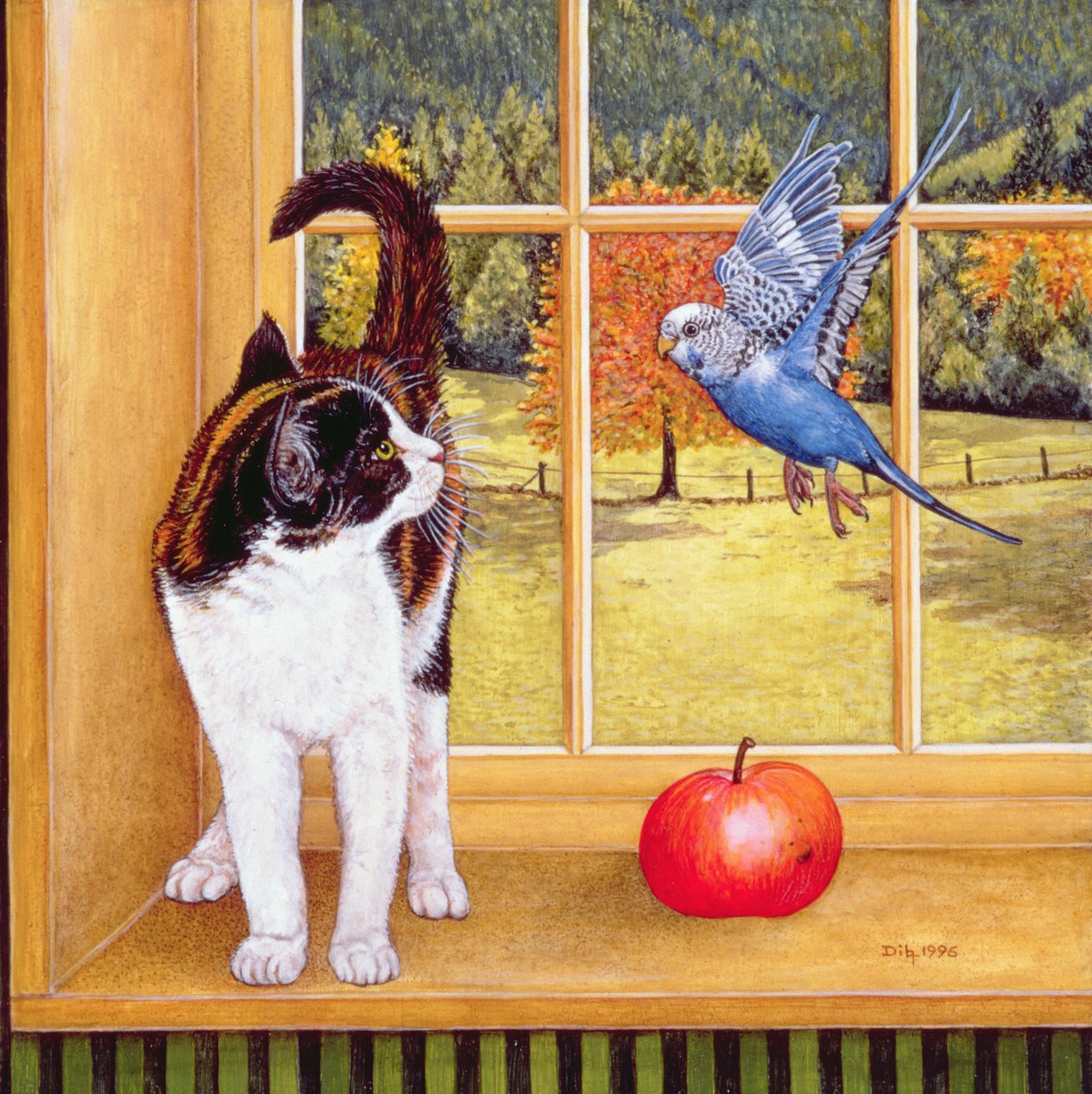 Observación de aves, 1996 de Ditz