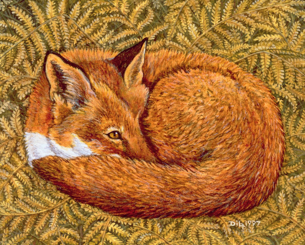 Siesta del Gato, 1997 de Ditz
