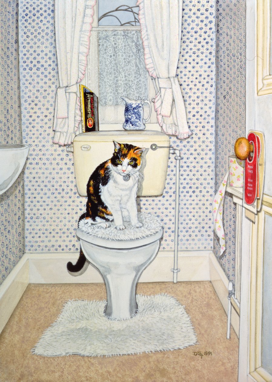 Gato en el baño, 1991 de Ditz