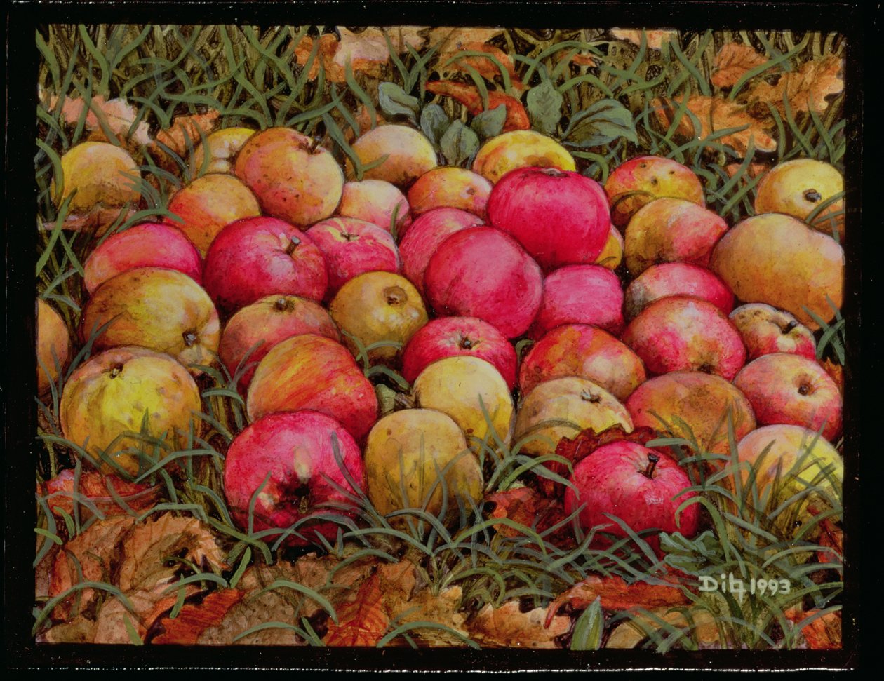 Manzanas Durnitzhofer, 1993 de Ditz