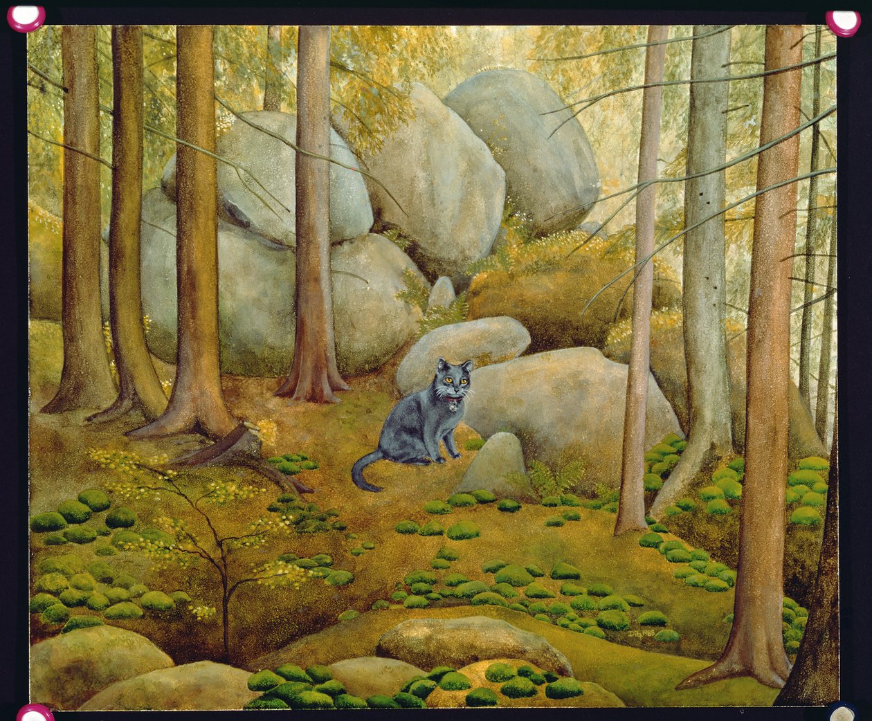 En el Bosque de Ditz
