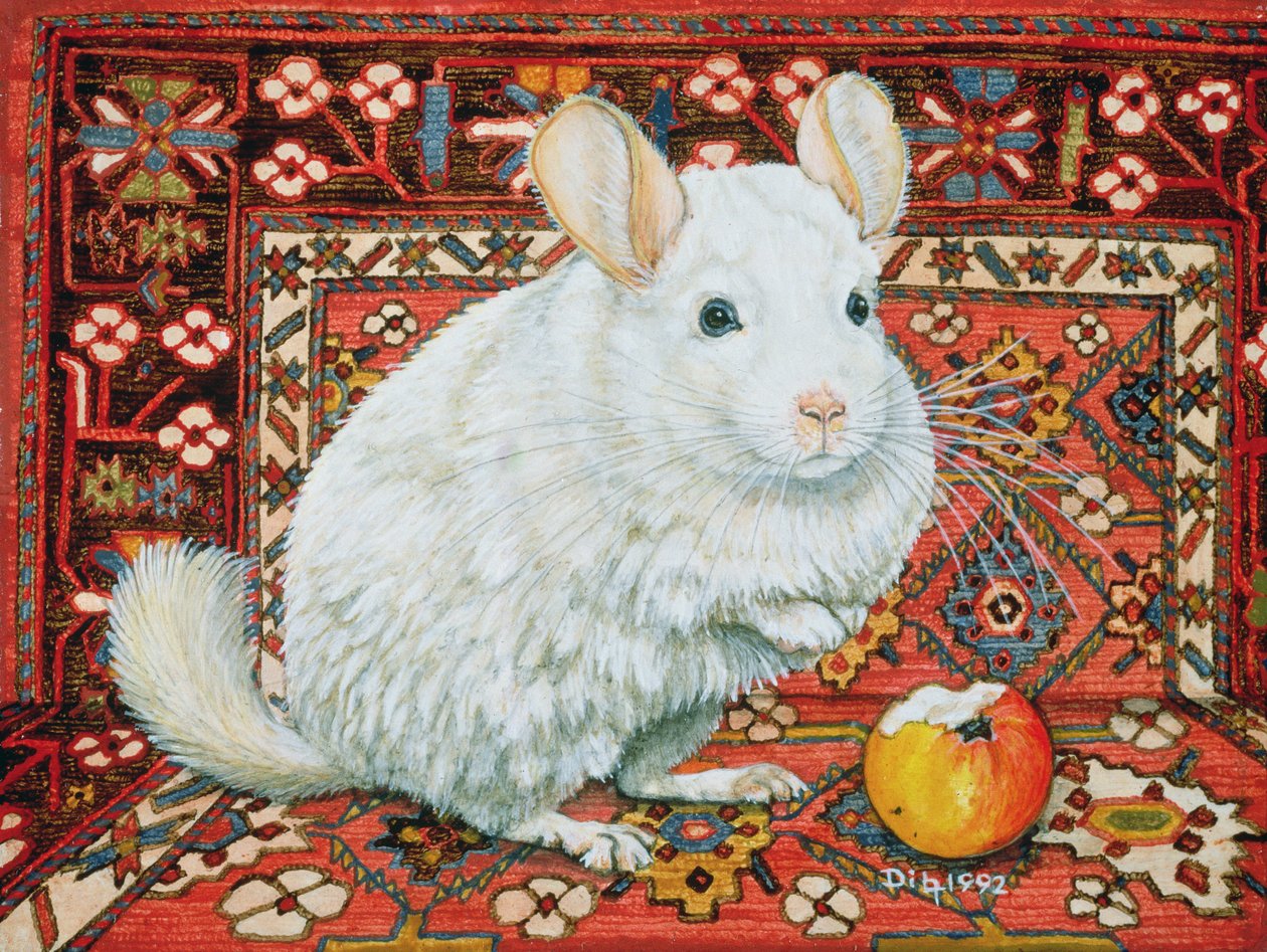 La alfombra-chinchilla, 1992 de Ditz