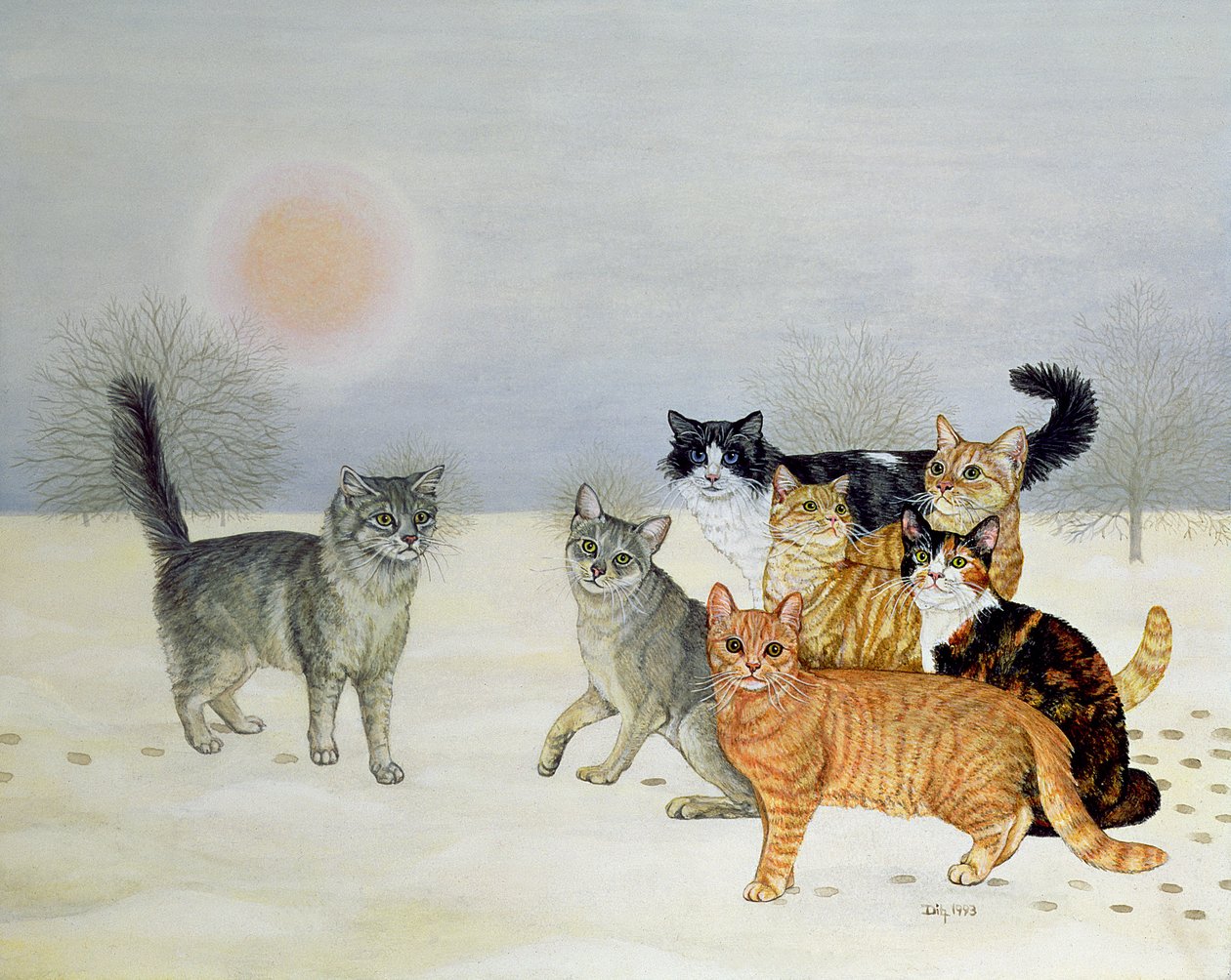 Gatos de invierno de Ditz