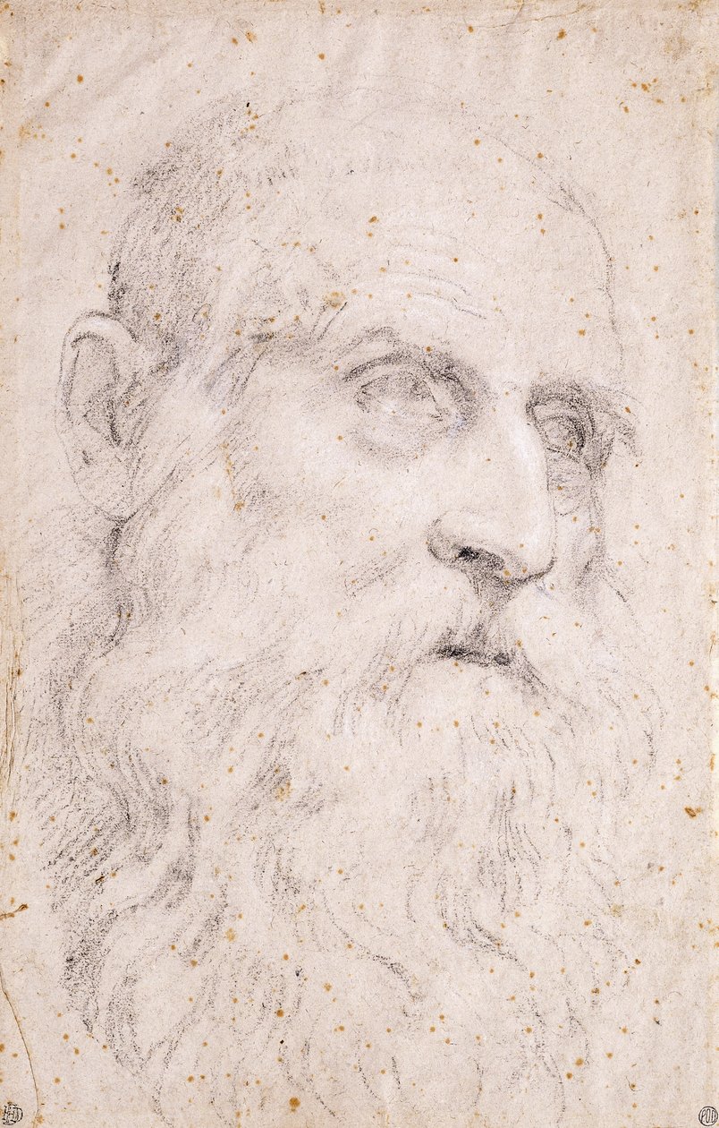 La cabeza de San Jerónimo de Domenichino