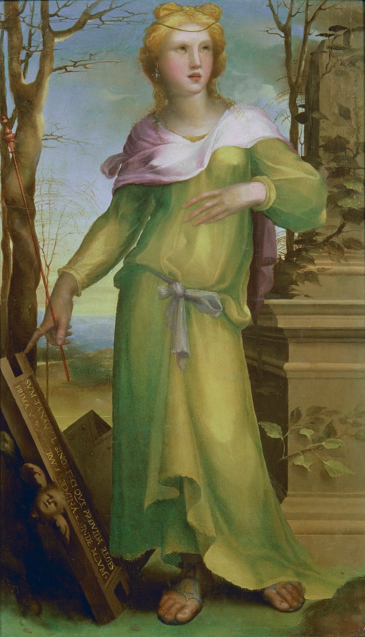 Tanaquil de Domenico di Pace Beccafumi  