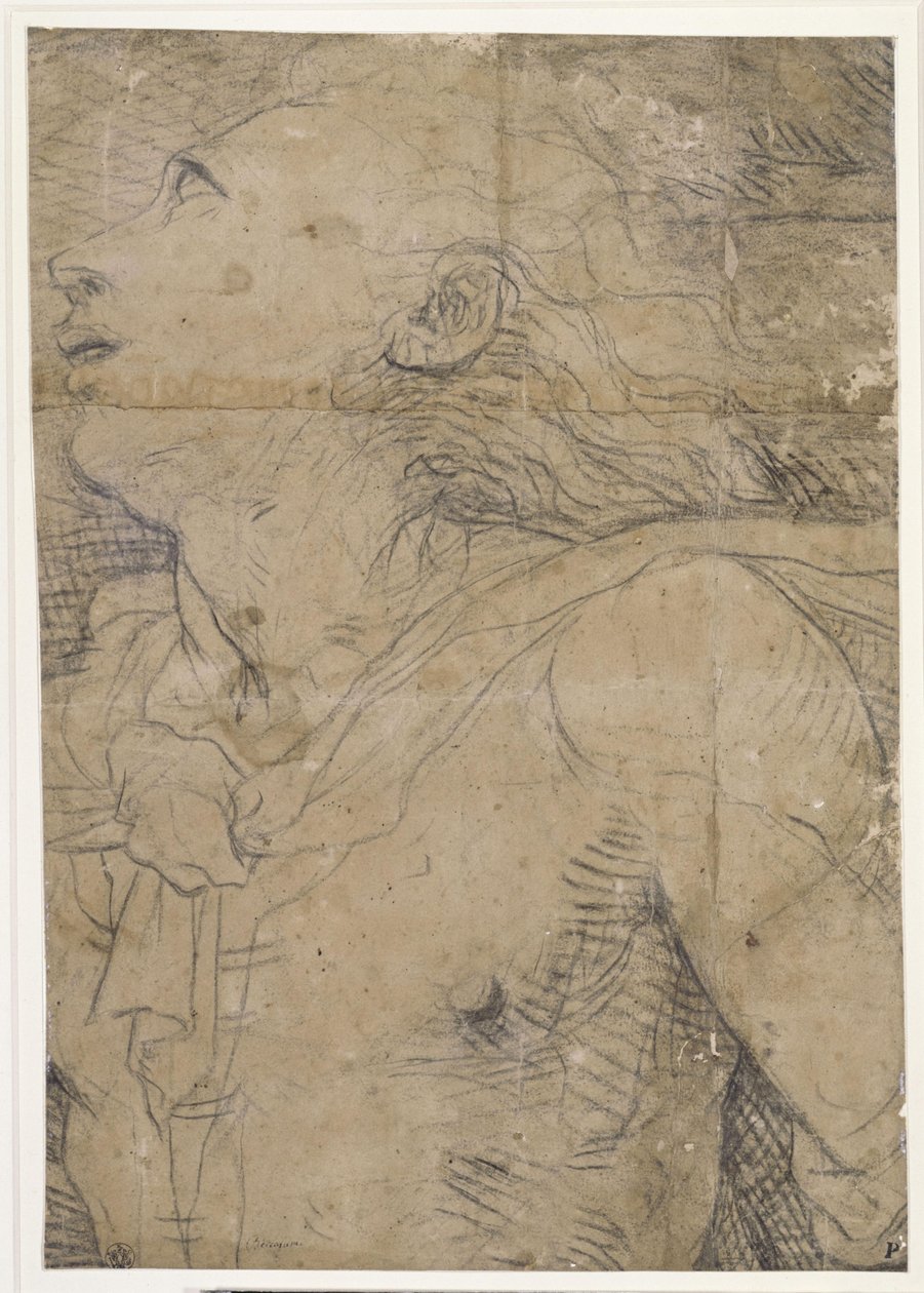 Joven mirando hacia arriba (medio cuerpo), ¿fragmento de un boceto en cartón de Domenico Beccafumi