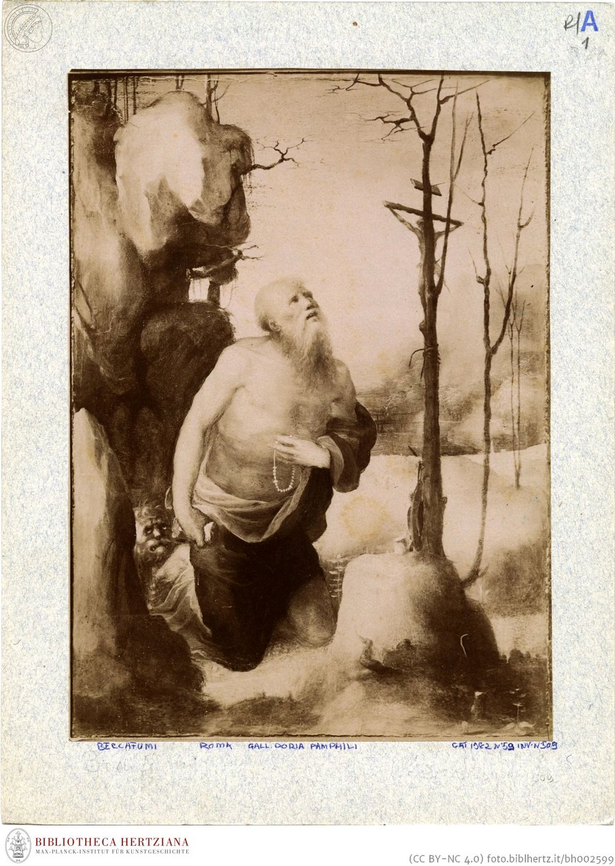 Beccafumi - Jerónimo penitente, n° de inventario 166 de Domenico Beccafumi