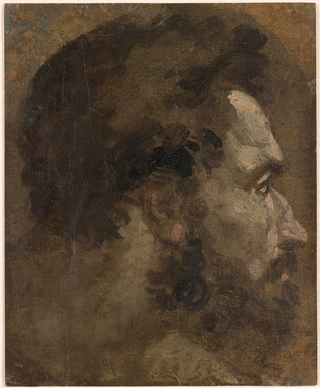 Beccafumi - Cabeza de hombre barbado de perfil hacia la derecha, ca. 1530-1535 de Domenico Beccafumi