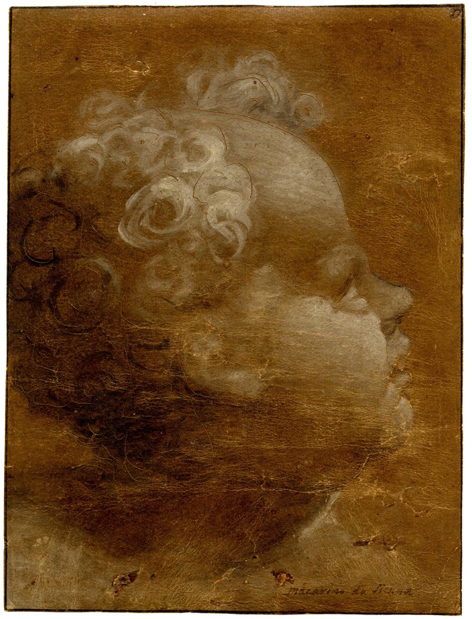 Beccafumi - Cabeza de niño mirando hacia arriba, de perfil a la derecha Dibujo a pincel en óleo gris-marrón y blanco, sobre papel preparado marrón, con líneas sangradas, 1528 (circa) de Domenico Beccafumi
