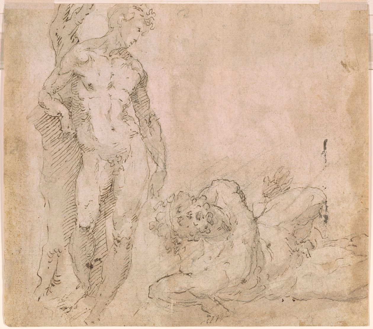 Beccafumi - Verso Desnudo masculino apoyado en un tronco de árbol y desnudo masculino recostado con la cabeza echada hacia atrás, ca. 1530-1540 de Domenico Beccafumi