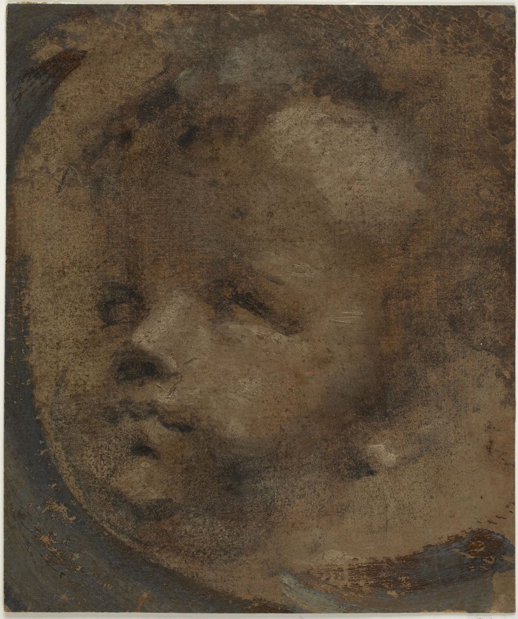 Cabeza de un putto de Domenico Beccafumi