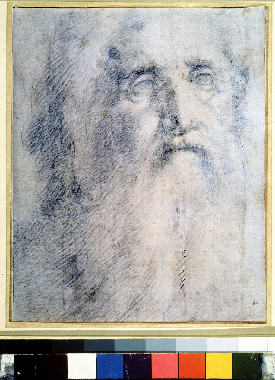 "Estudio de retrato humano con barba" de Domenico Beccafumi