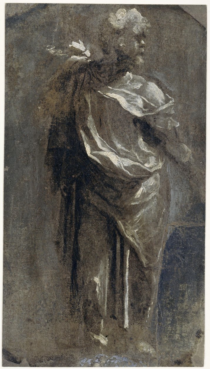 Publio Mutius de Domenico Beccafumi