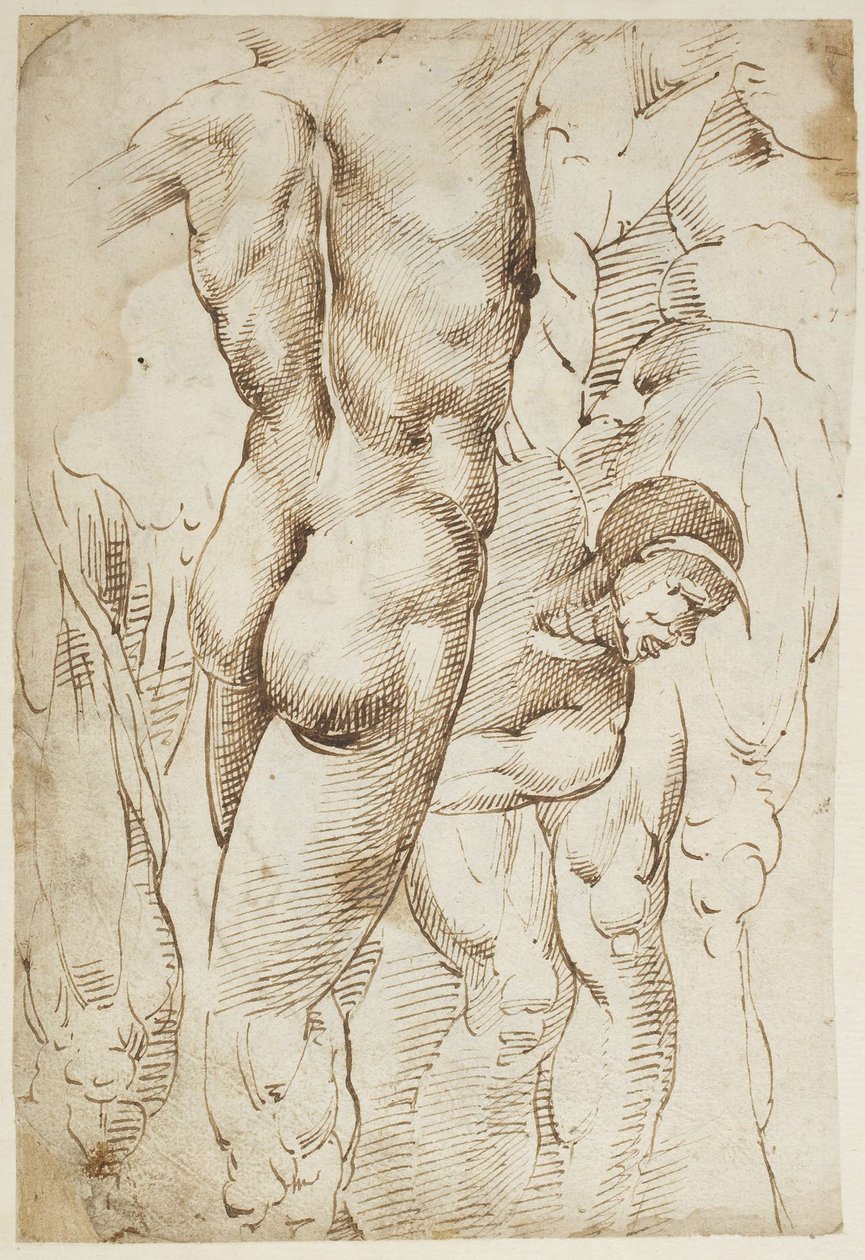 Estudios de piernas y desnudos masculinos de Domenico Beccafumi