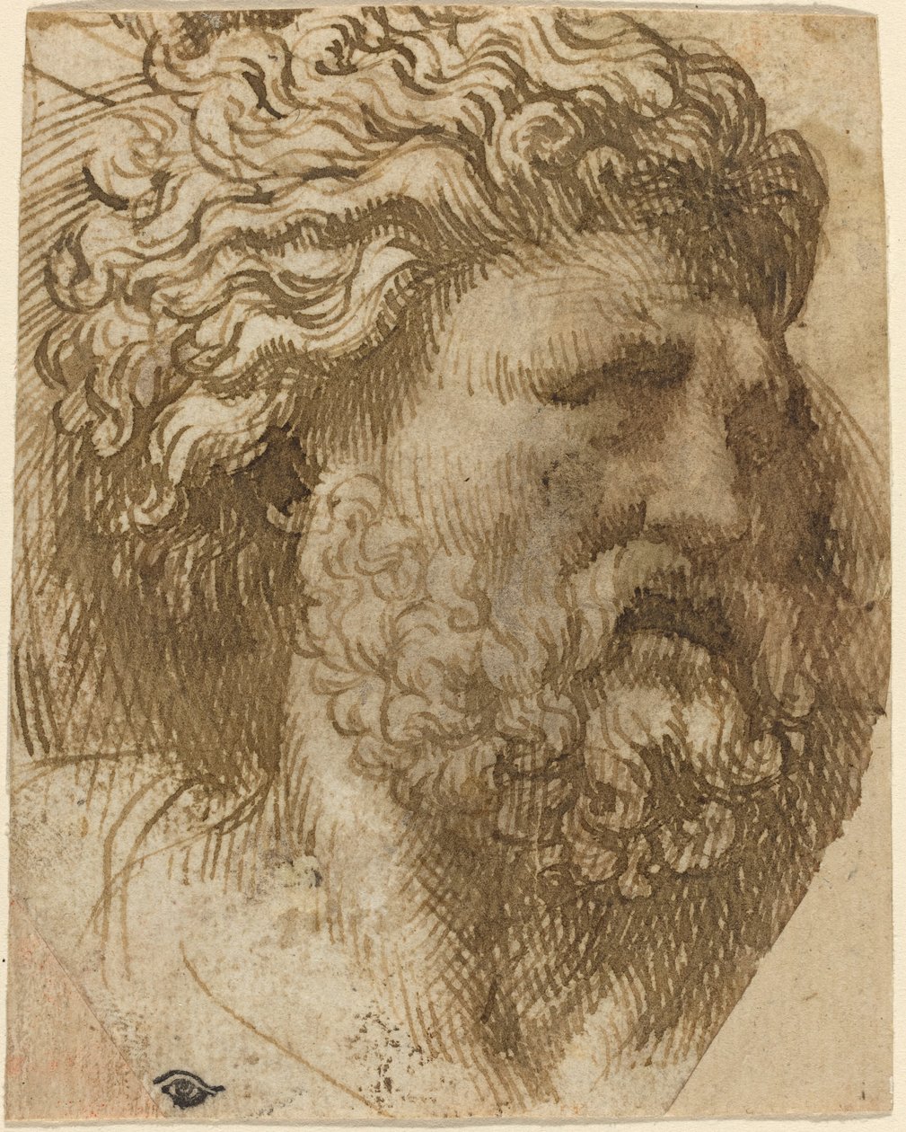 Cabeza de un hombre de Domenico Campagnola