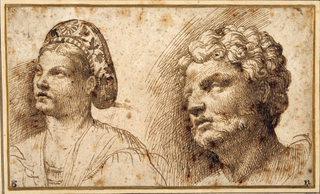 Estudio de la cabeza y los hombros de una joven con balza, y de la cabeza de un hombre con barba de Domenico Campagnola