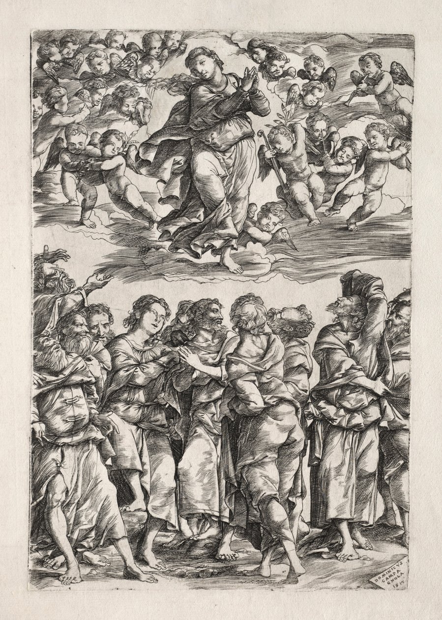 La Asunción de la Virgen, 1517 de Domenico Campagnola