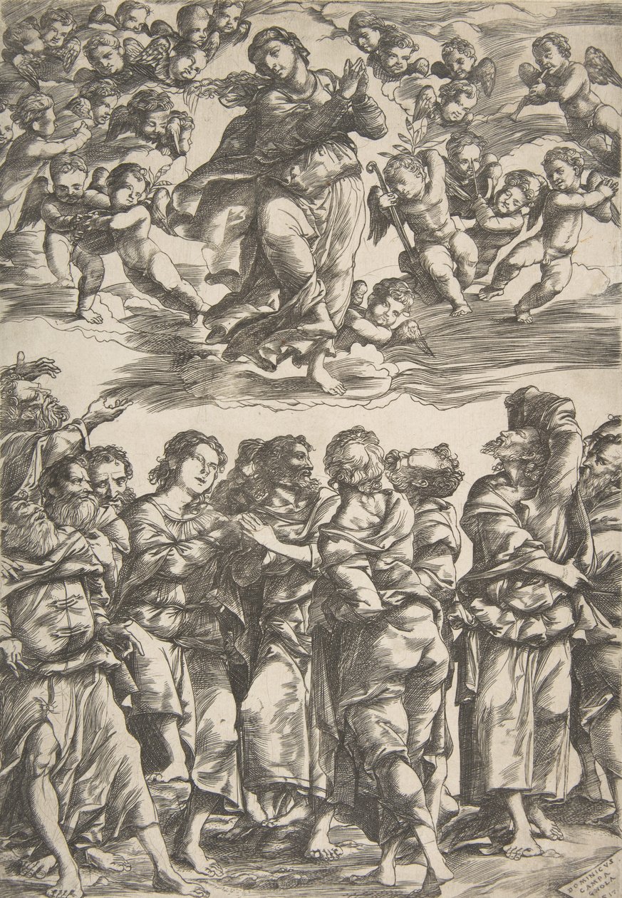 La Virgen en el centro superior en las nubes con las manos juntas y el pie derecho levantado, rodeada, 1517 de Domenico Campagnola