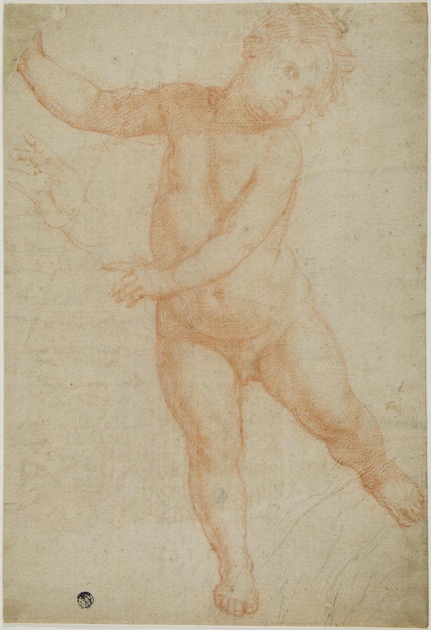 Putto en posición de firmes sobre la pierna derecha (anverso); esbozo de un brazo drapeado (reverso) de Domenico Cresti