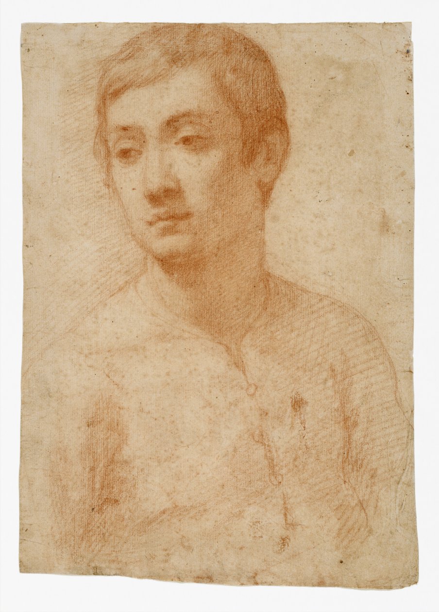 Cabeza de un joven, c.1600-25 de Domenico Cresti