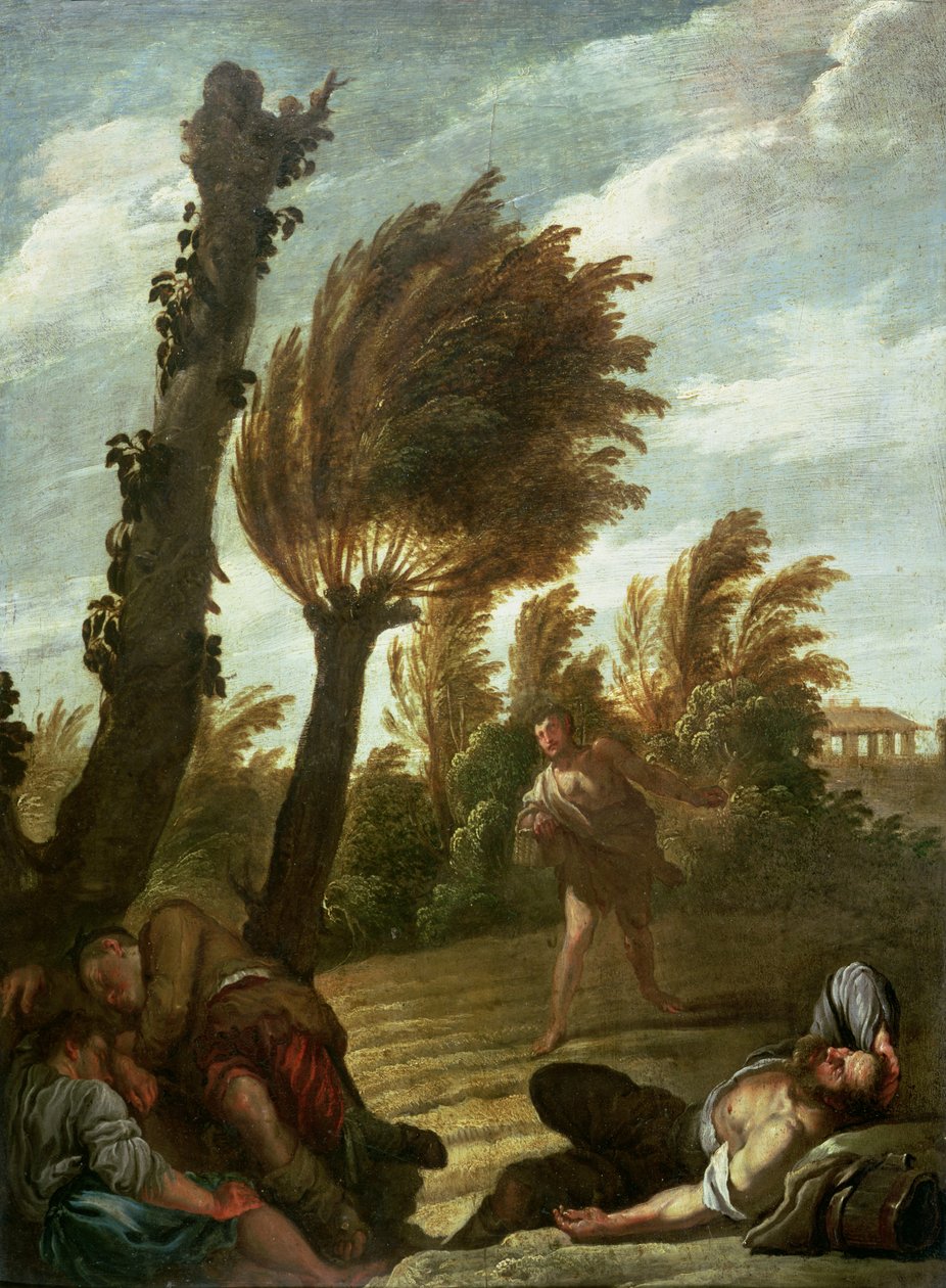Parábola del sembrador de cizaña, c.1620-21 de Domenico Fetti or Feti