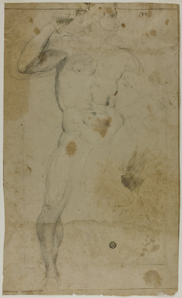 Desnudo masculino de pie (recto); Dos figuras masculinas de medio cuerpo, una con el brazo levantado, la otra rezando (verso) de Domenico Fiasella