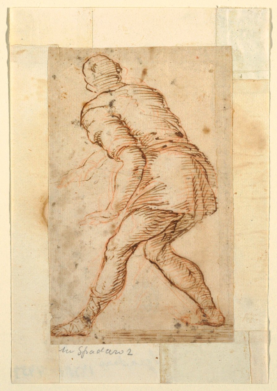 Estudio figurativo de un hombre de Domenico Gargiulo, called Micco Spadaro