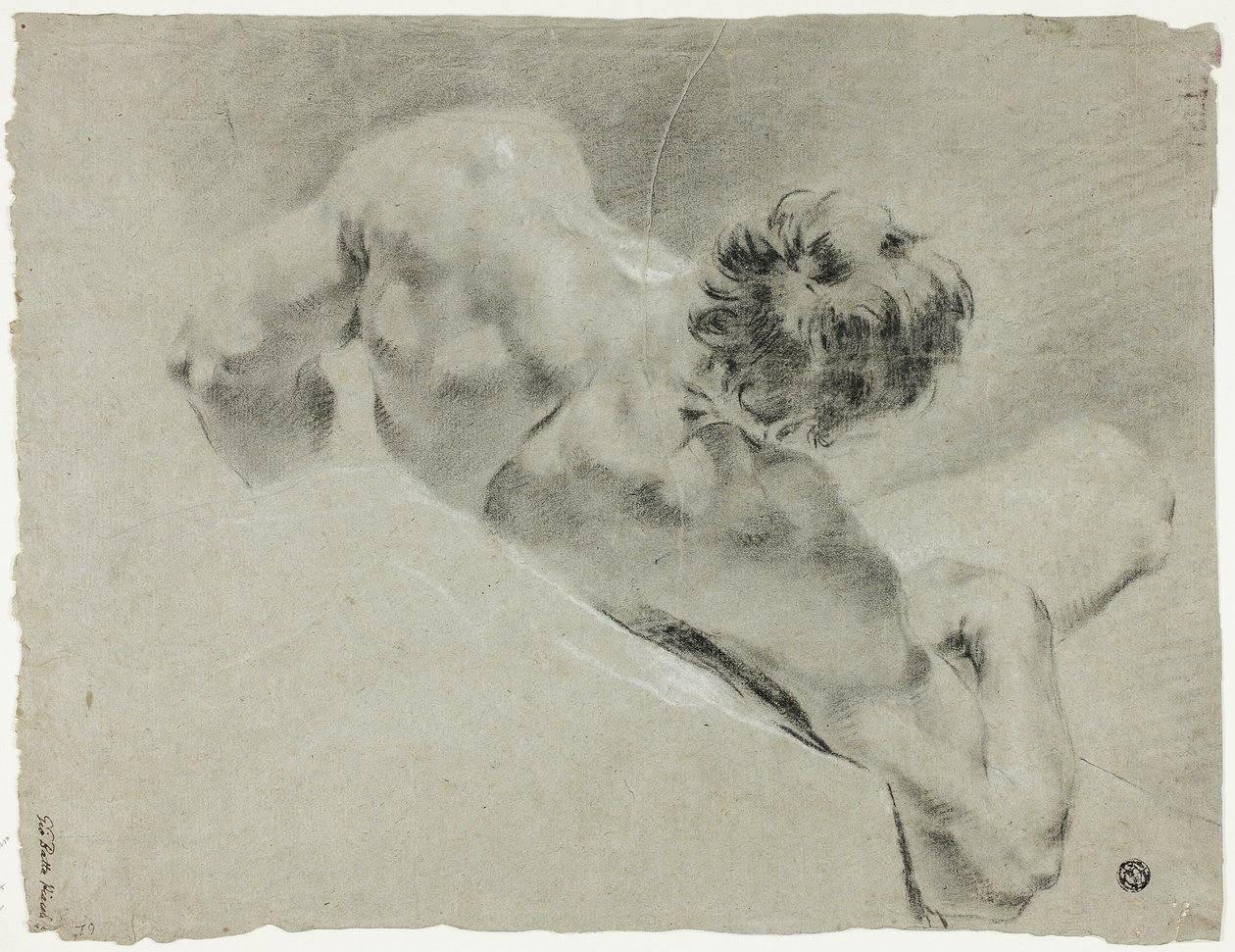 Desnudo masculino visto de espaldas de Domenico Maggiotto