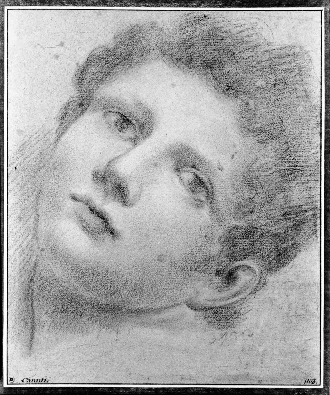 Cabeza de un joven, inclinada hacia atrás de Domenico Maria Canuti