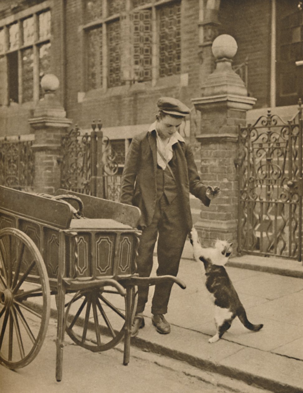 Uno de los oficios más establecidos: Un cliente y el vendedor de carne para gatos, c1935 de Donald McLeish