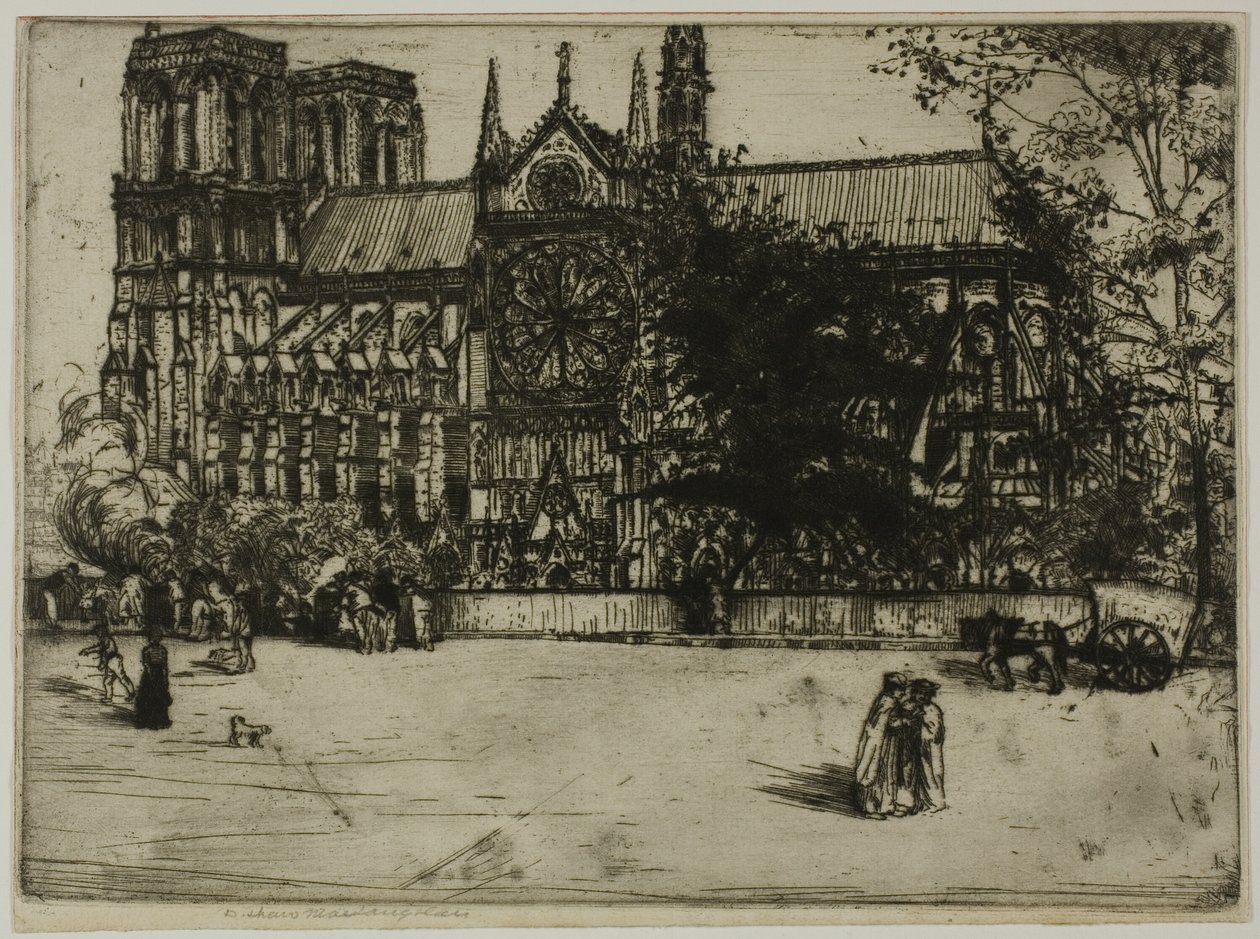 Notre Dame, París de Donald Shaw MacLaughlan