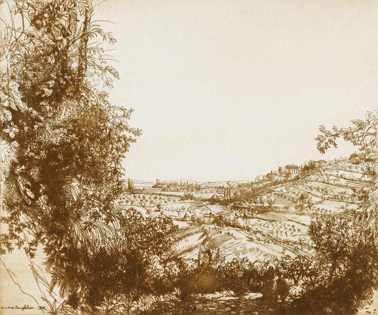 Olivares de Donald Shaw MacLaughlan