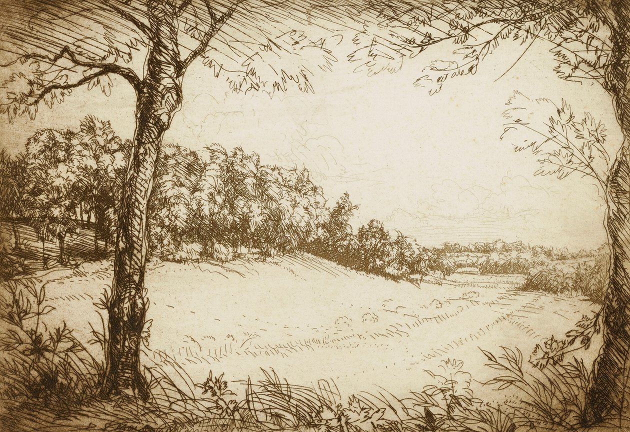 Mañana de verano en Tennessee de Donald Shaw MacLaughlan