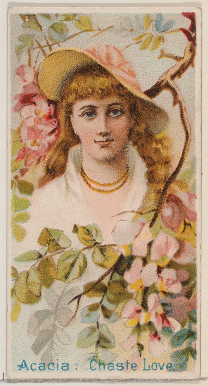 Acacia: Amor casto, de la serie Bellezas florales y lenguaje de las flores N75 para Duk..., 1892 de Donaldson Brothers