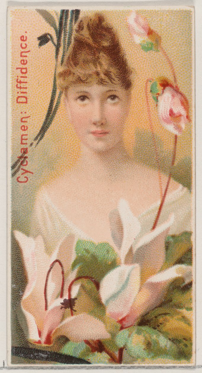 Ciclamen: Timidez, de la serie Bellezas Florales y Lenguaje de las Flores N75 para Du..., 1892 de Donaldson Brothers