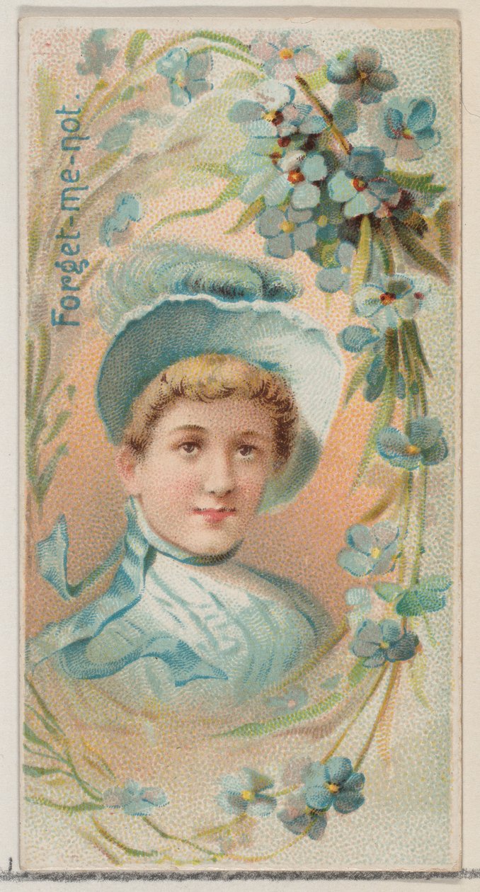 No me olvides, de la serie Bellezas florales y lenguaje de las flores N75 para la marca Duke, 1892 de Donaldson Brothers