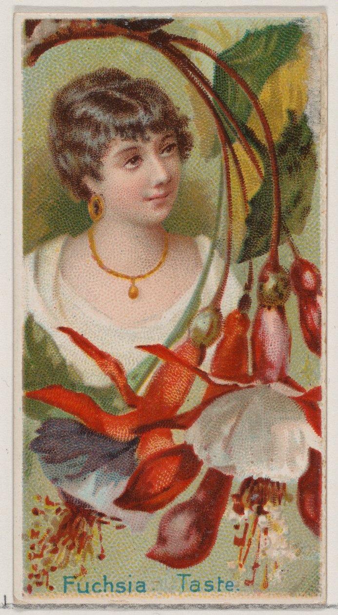 Fucsia: Gusto, de la serie Bellezas Florales y Lenguaje de las Flores N75 para Duke bra..., 1892 de Donaldson Brothers